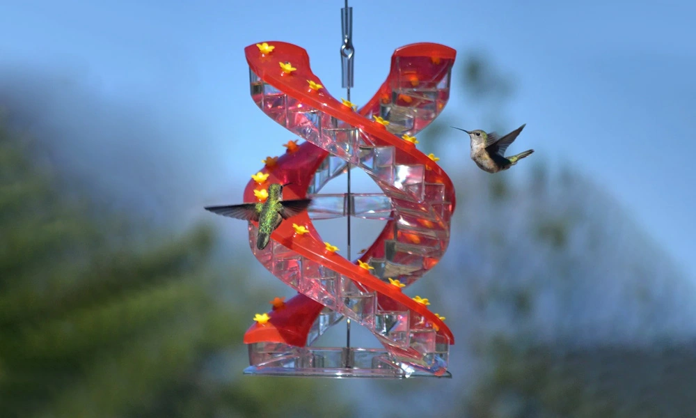 Sherem DNA Helix Hummingbird outdoors